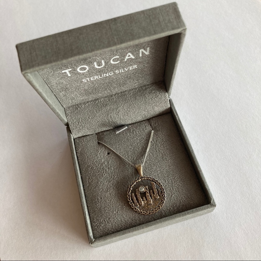 Toucan Silver + Moonstone Standing Stone Necklace